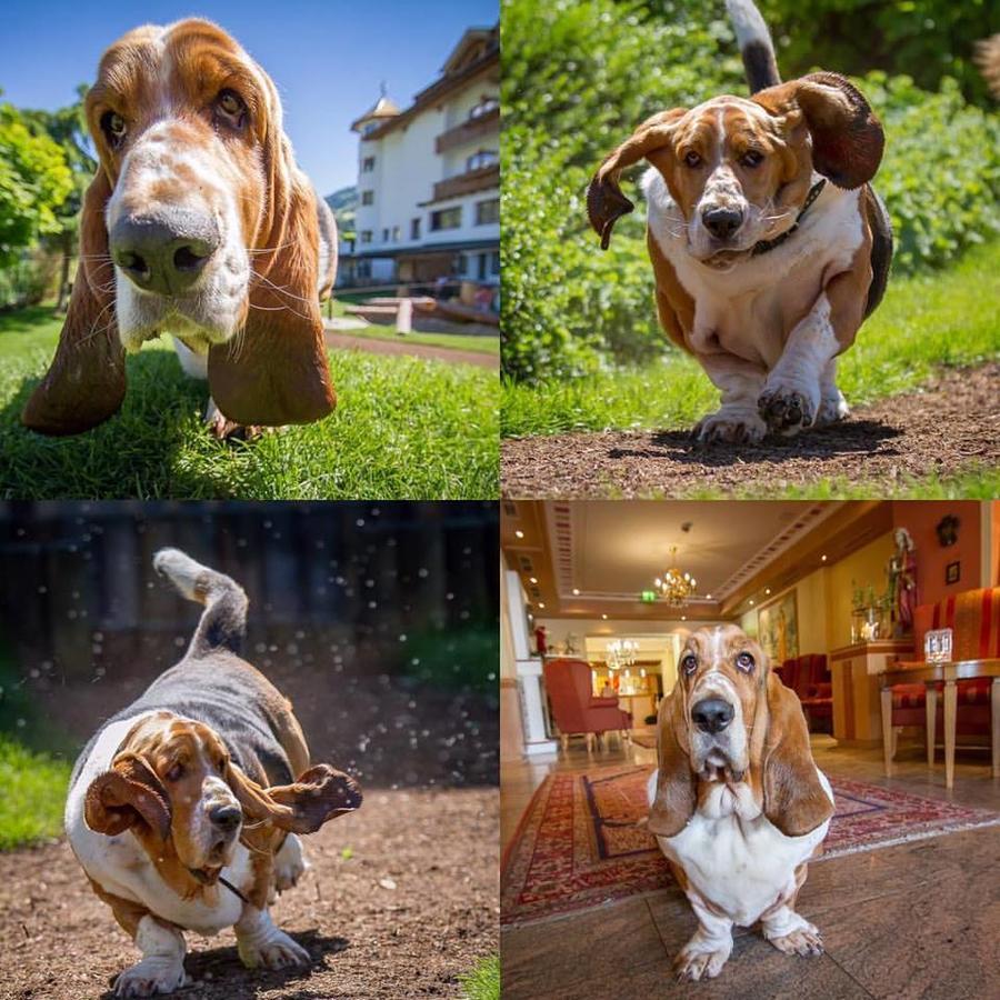 Hotel Magdalena Im Zillertal - Urlaub Mit Hund Ried im Zillertal Exterior photo